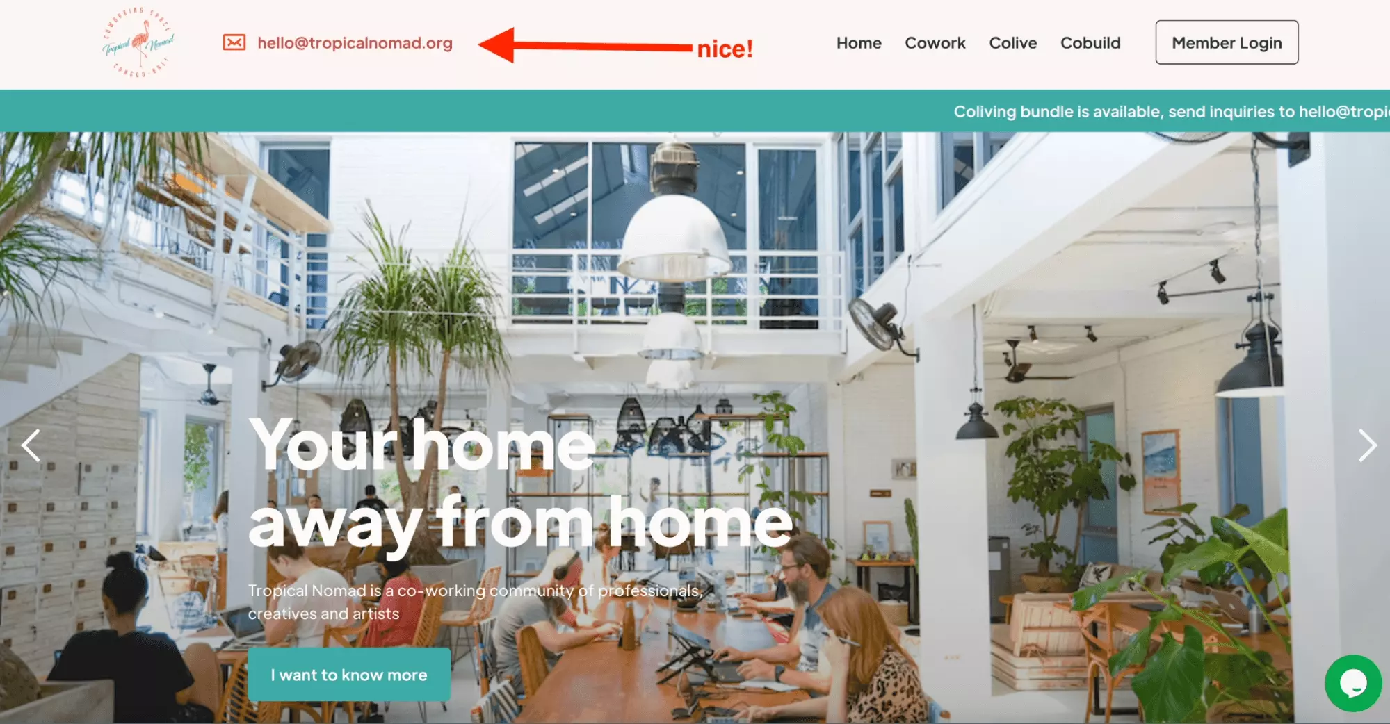 How to extract emails from Google Maps? [Fast & Free]
