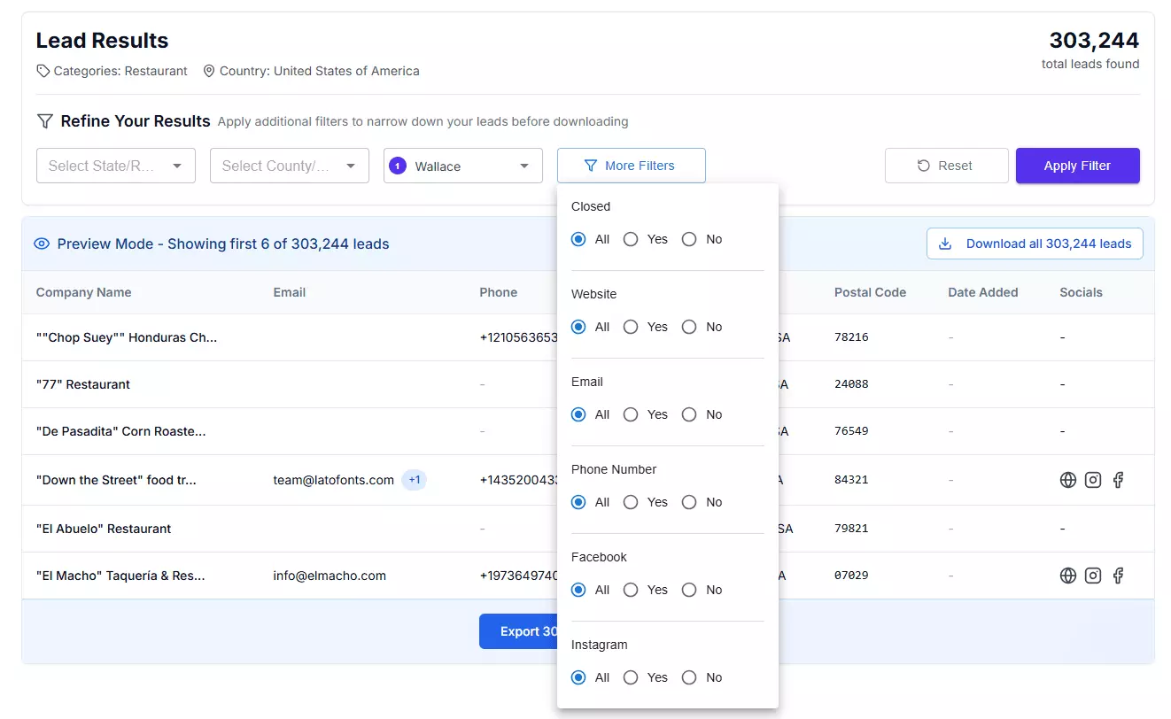 Step 1: Finding leads from Google Maps - Features