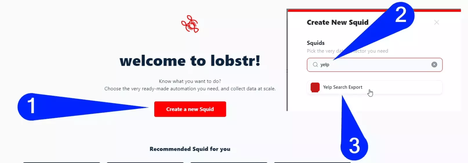 Create Yelp Search Export Squid