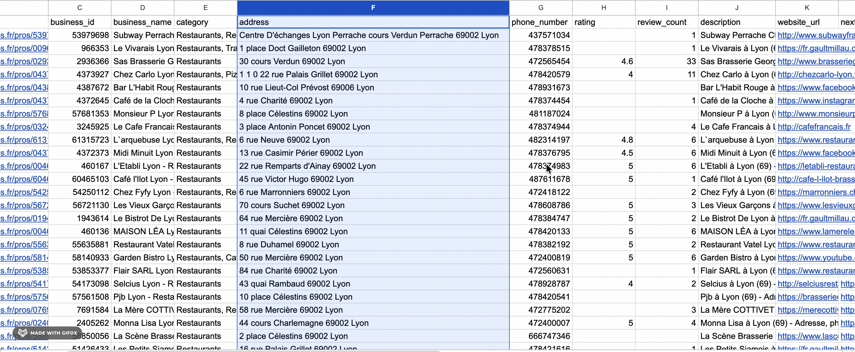 data output showing the address field