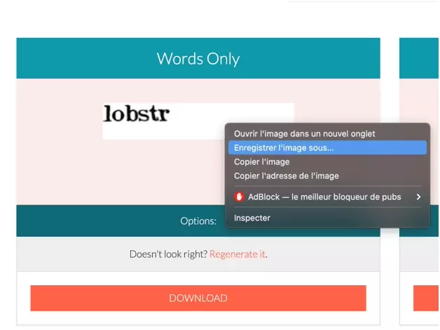 How to bypass a (simple) Captcha with Python3 and Pytesseract?-image-2.png