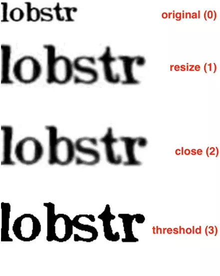 How to bypass a (simple) Captcha with Python3 and Pytesseract?-image-3.png