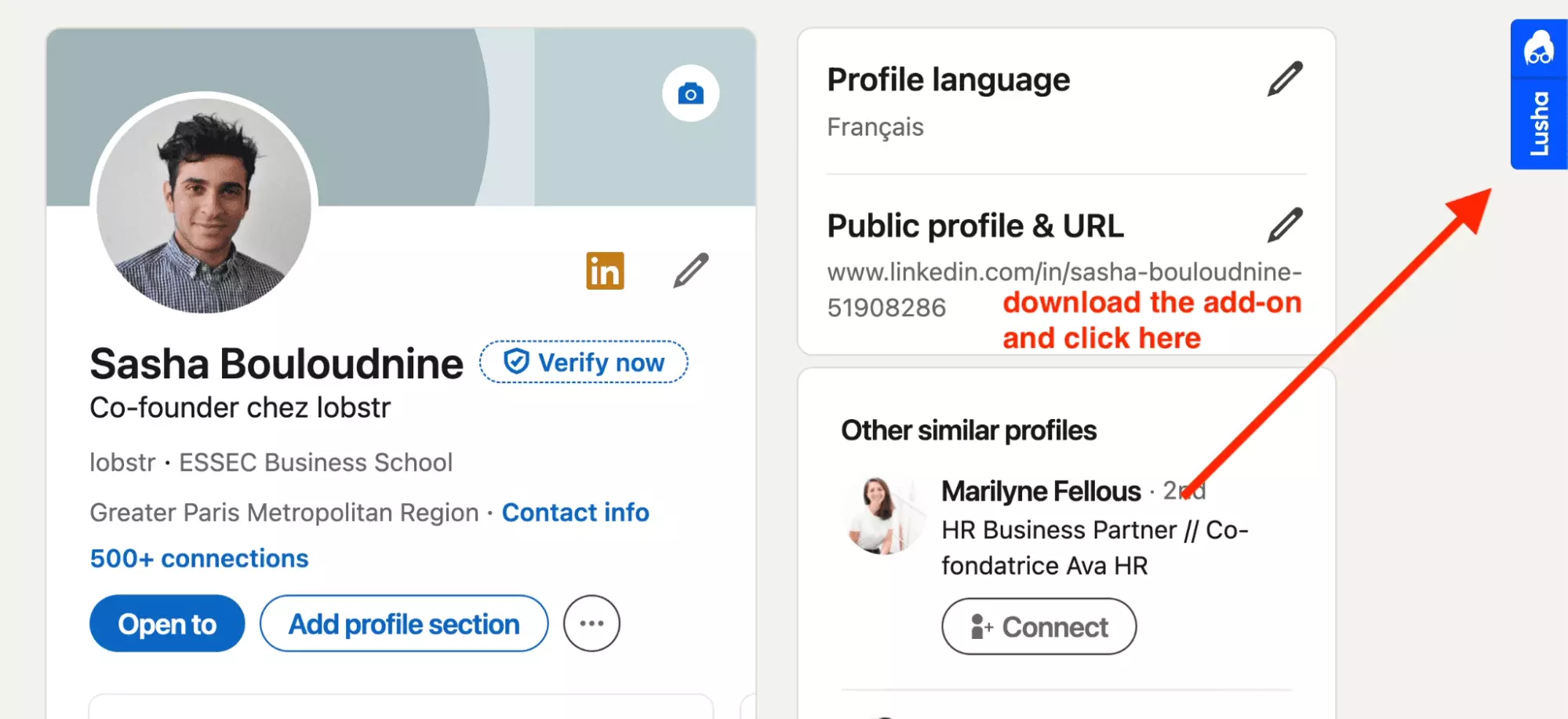 download lusha add on and click when on linkedin profile page - image15.png