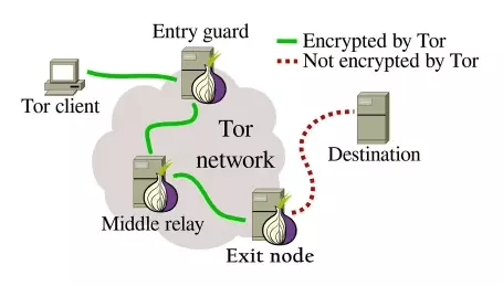 how-to-scrape-data-anonymously-using-tor-proxies-and-python-image-2.png