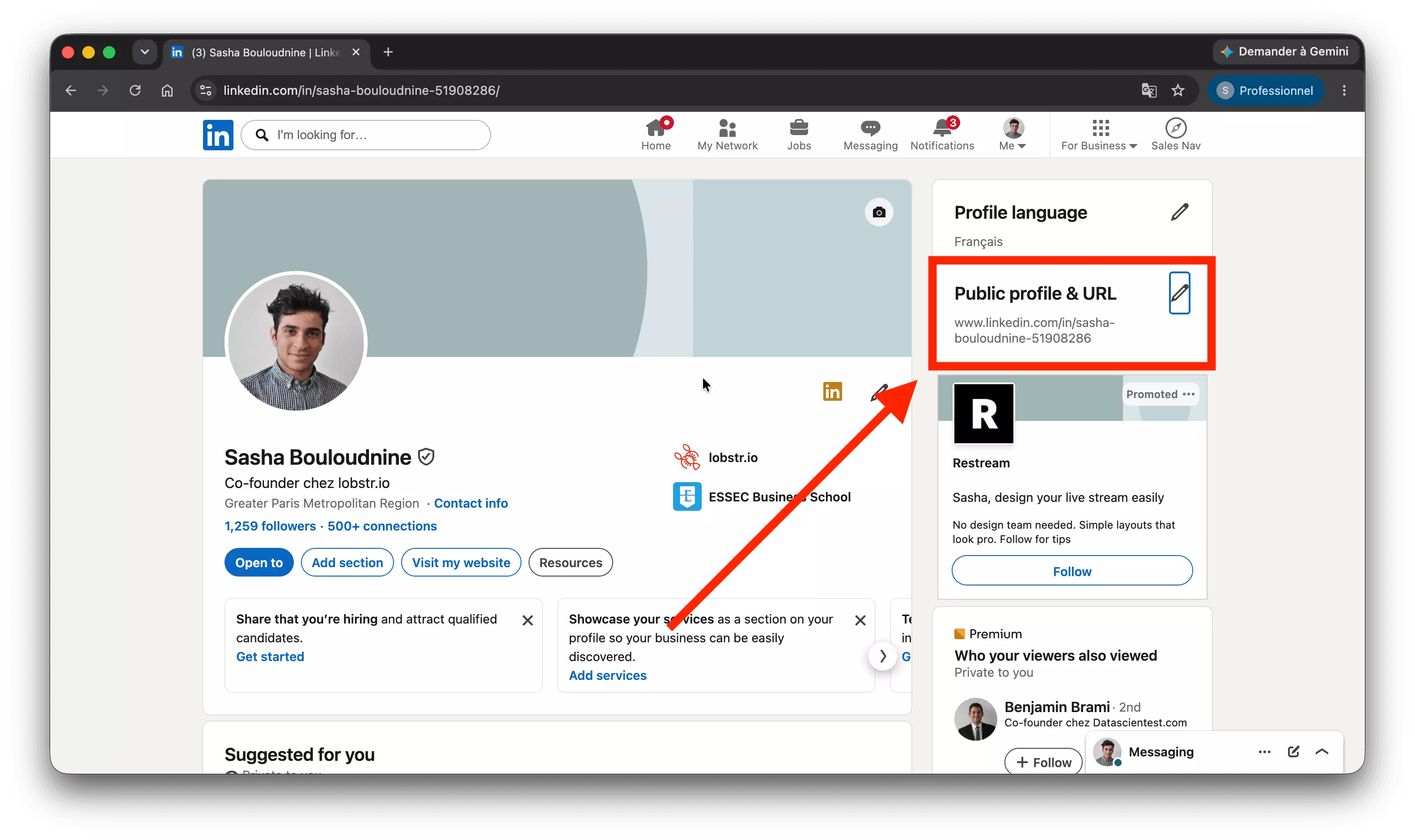 A LinkedIn profile with the Public profile and URL panel highlighted on the right, showing the full profile URL