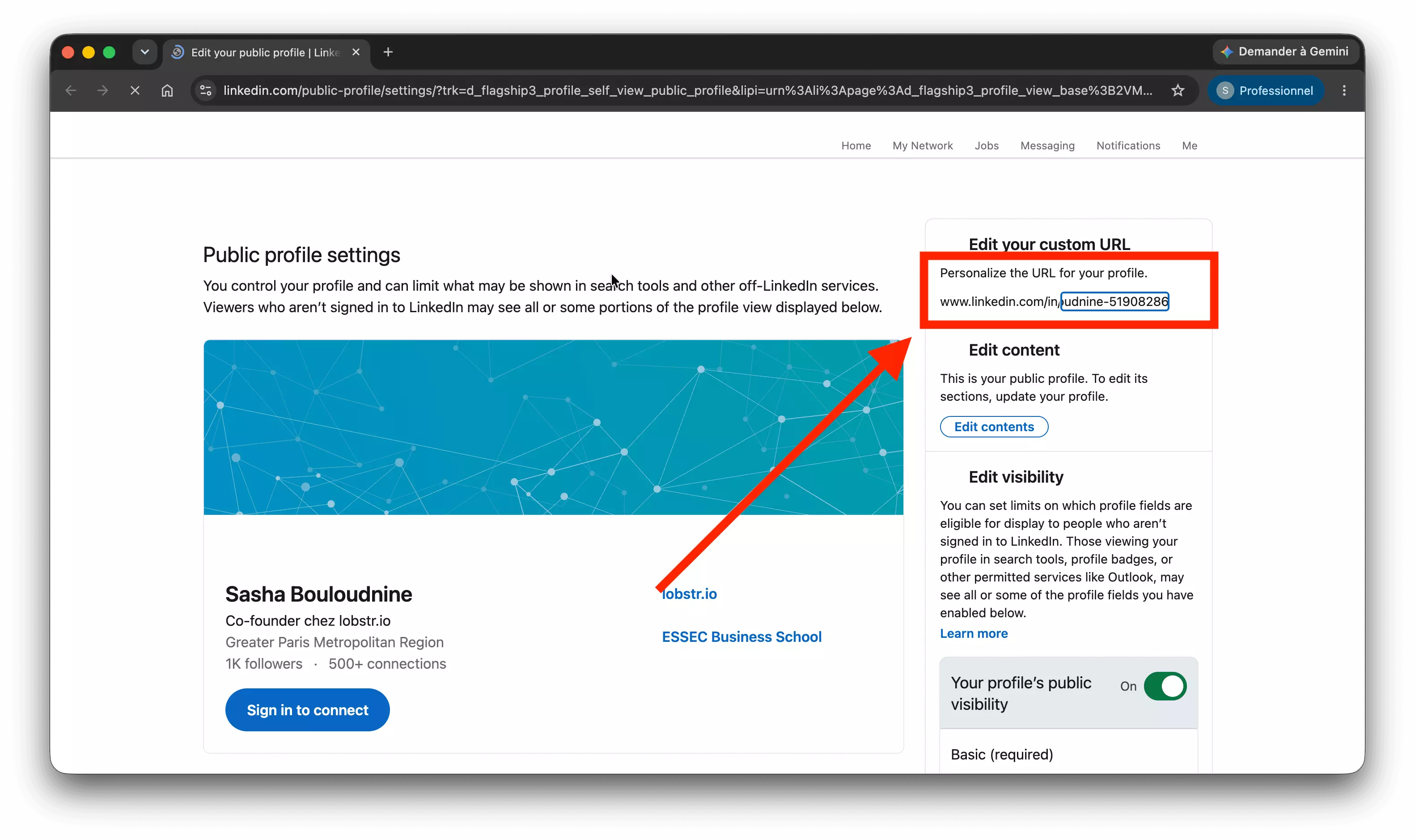 LinkedIn public profile settings with the Edit your custom URL panel highlighted, the slug field editable