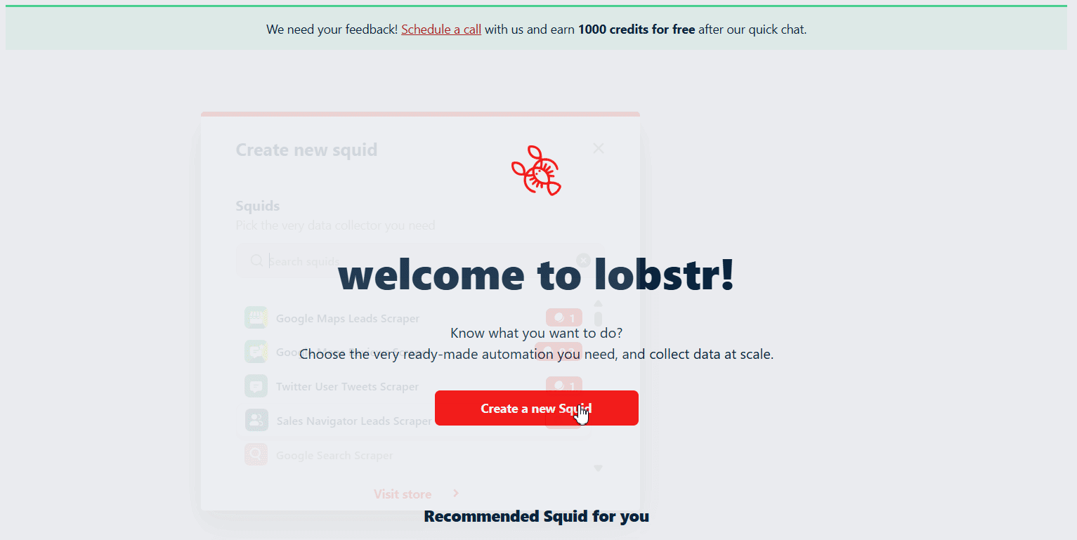 Step 1: Create a Squid