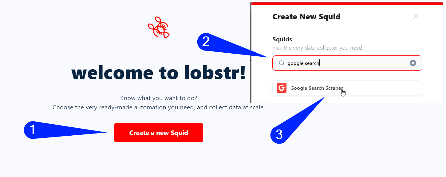 Create a new Google Search Scraper Squid