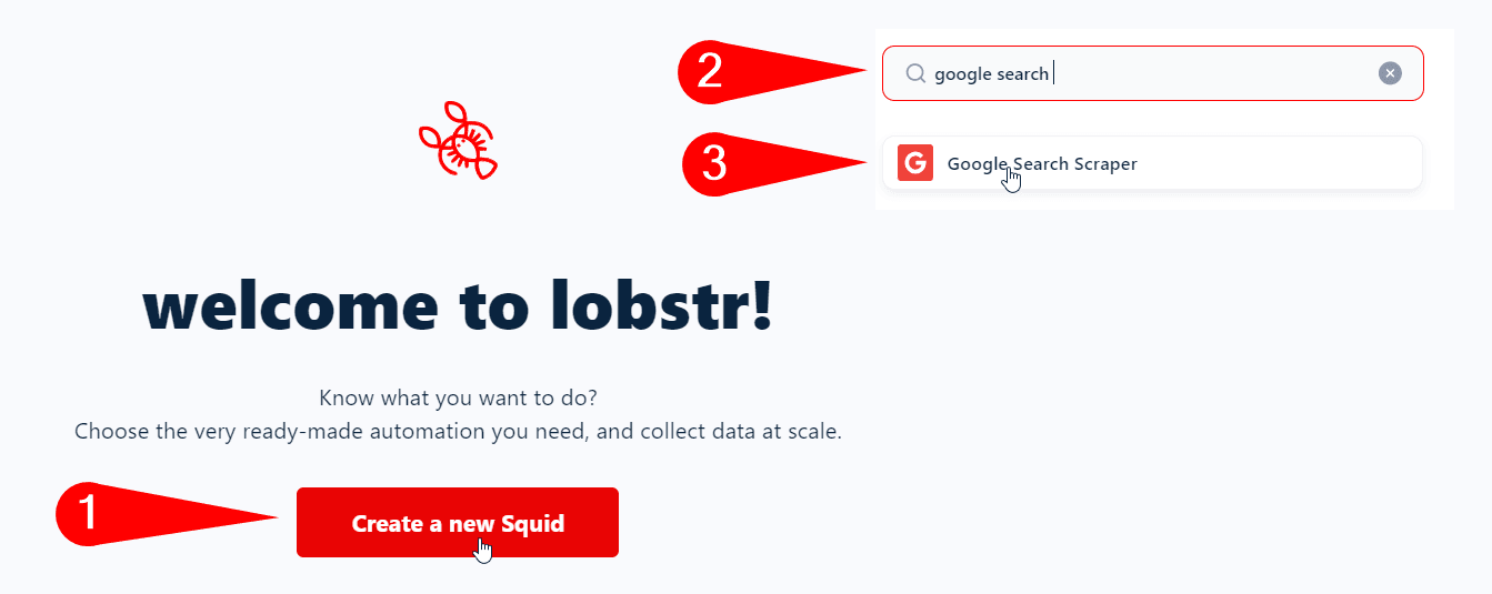 lobstr creating squid - image53.png