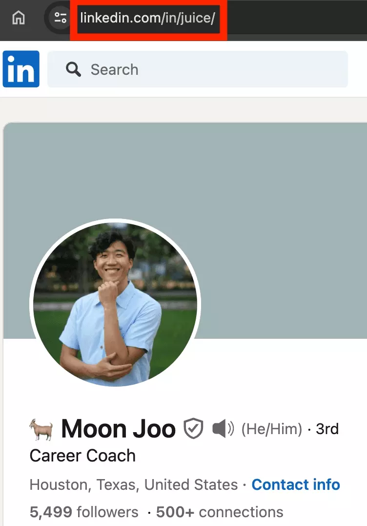 Stand Out: +5 LinkedIn URL Examples for 2024